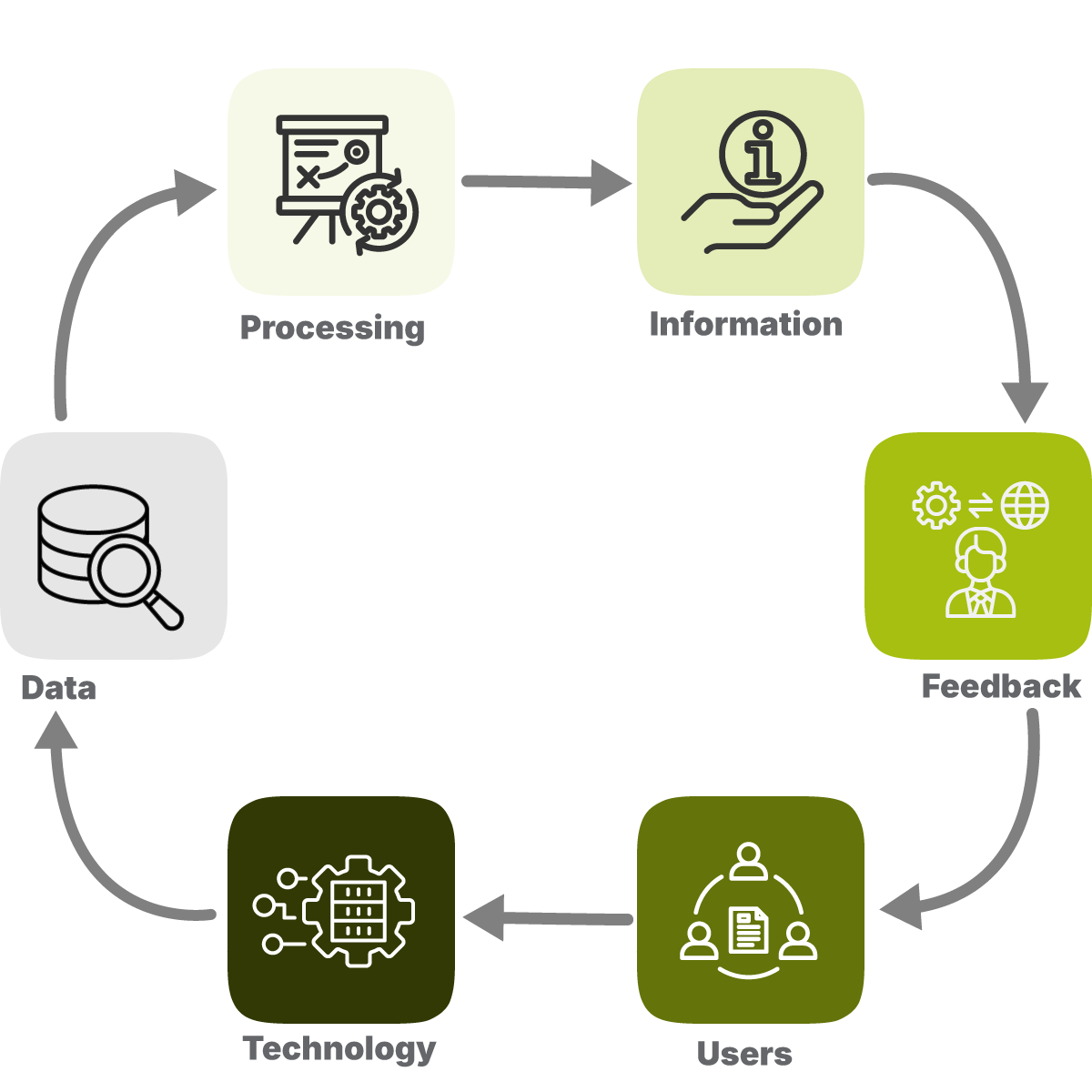 Management Information System explained